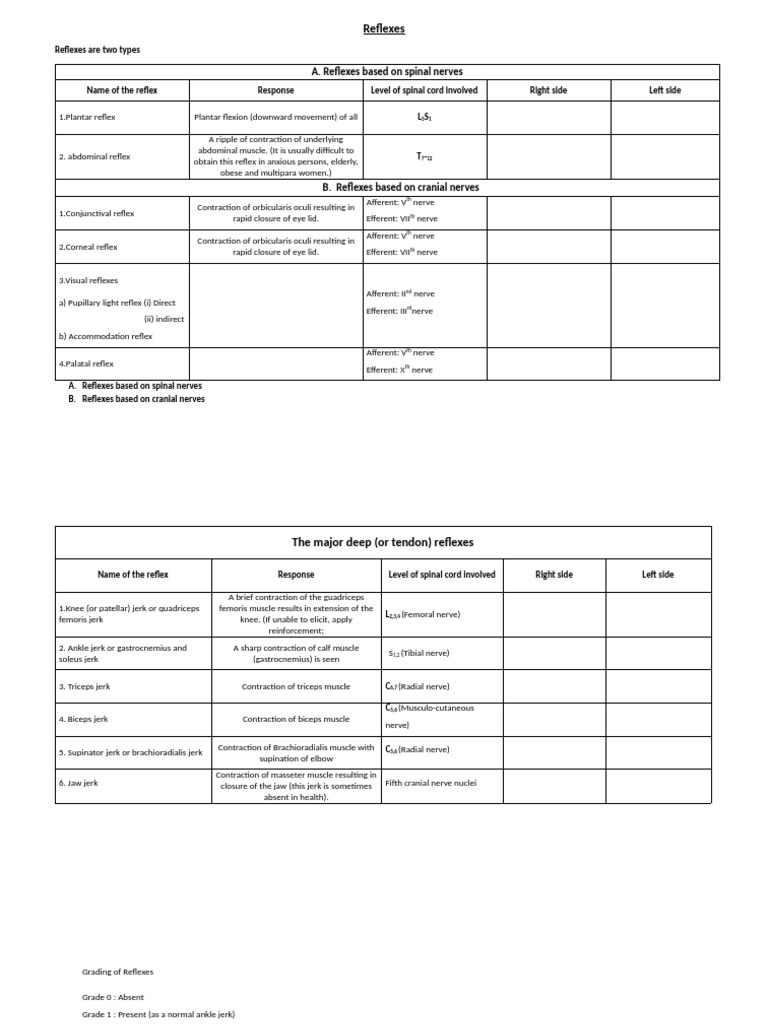 Reflexes are two types | PDF | Knee | Nervous System