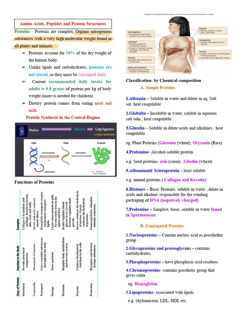 BIOCHEMISTRY PROTEIN AND ENZYME KINETICS | PDF | Enzyme Kinetics ...