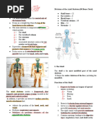 Body Habitus in Radiology Explained | PDF | Abdomen | Vertebral Column