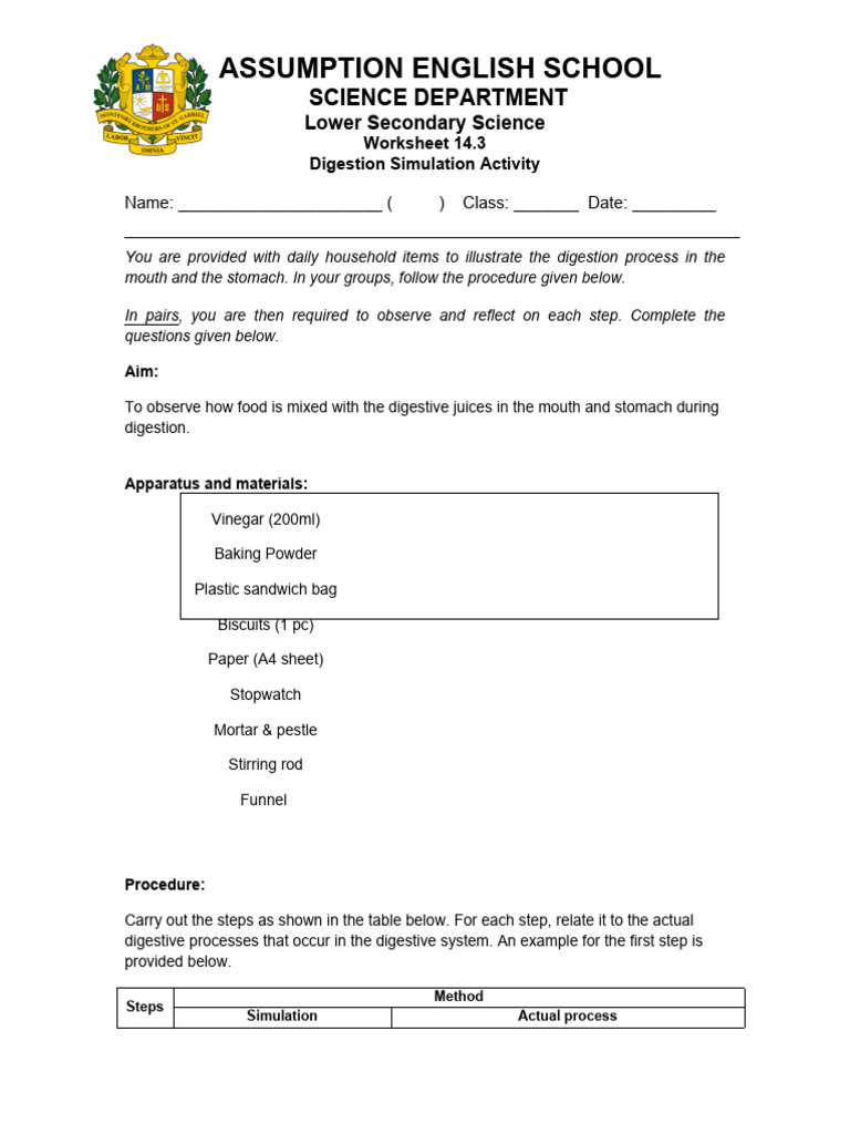 Worksheet 14.3 - Digestion Simulation Activity | PDF