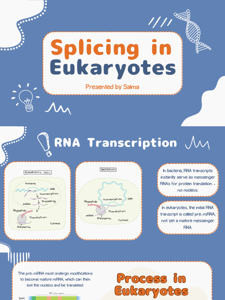 Splicing in Eukaryotes | PDF | Rna Splicing | Rna