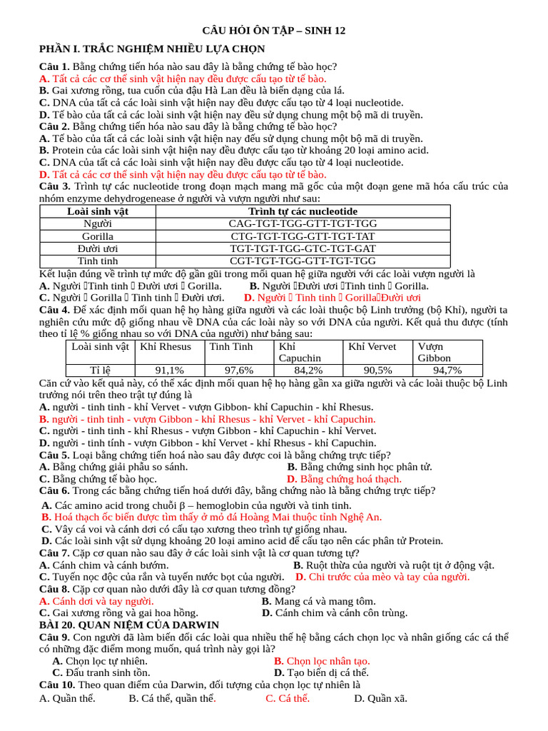 TT | PDF
