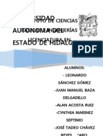 Universidad Autónoma Del Estado de Hidalgo: Instituto de Ciencias Básicas E Ingenierías