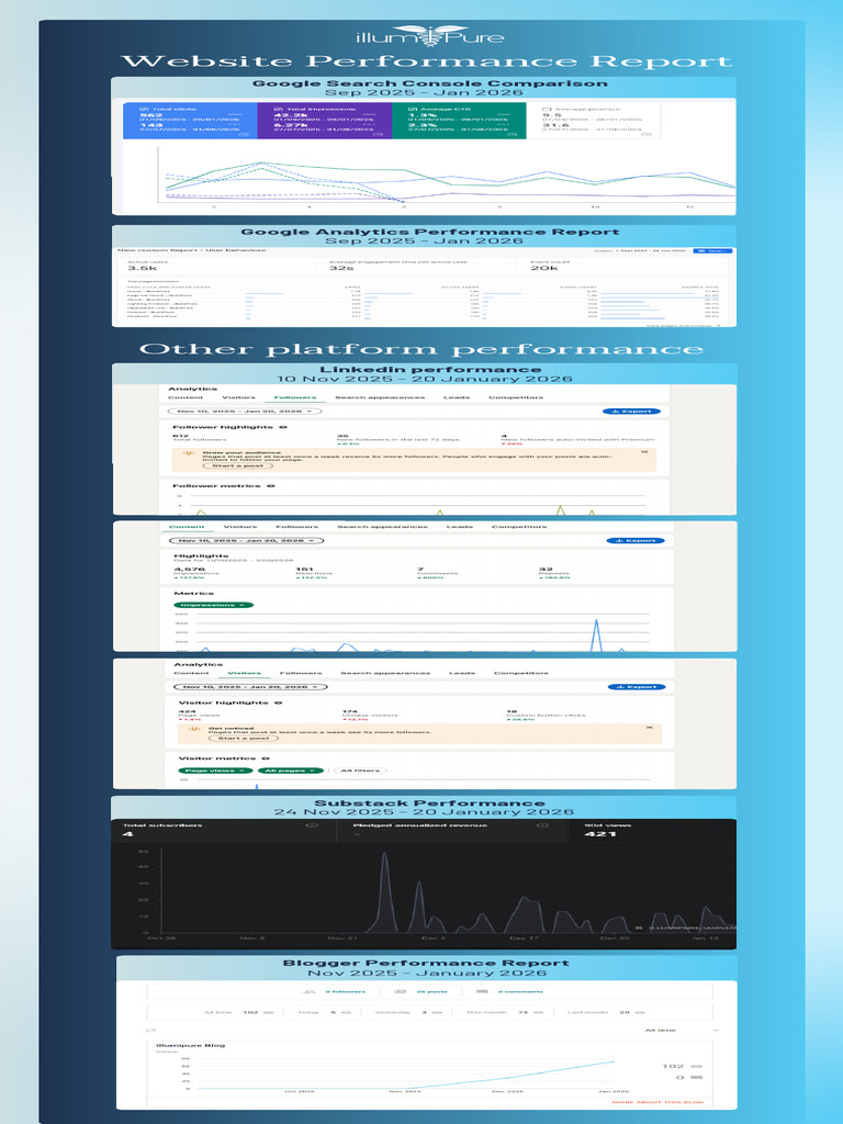 Website Performance Report | PDF