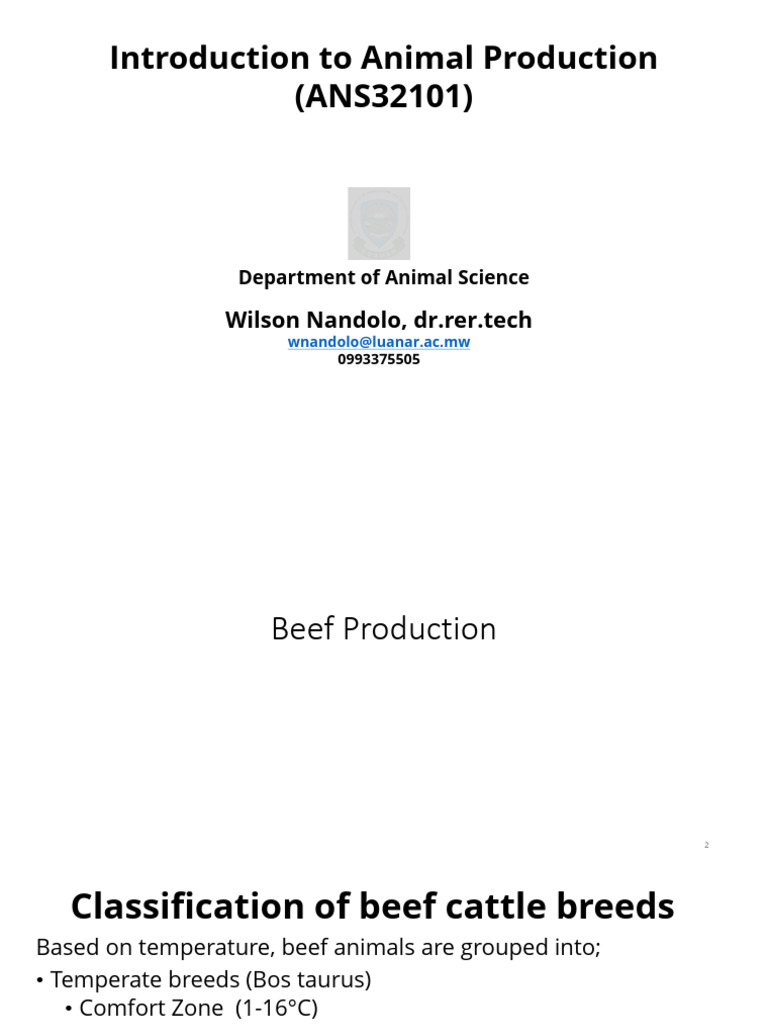 04-01-Animal Industries and Products - Beef Production | PDF | Food ...
