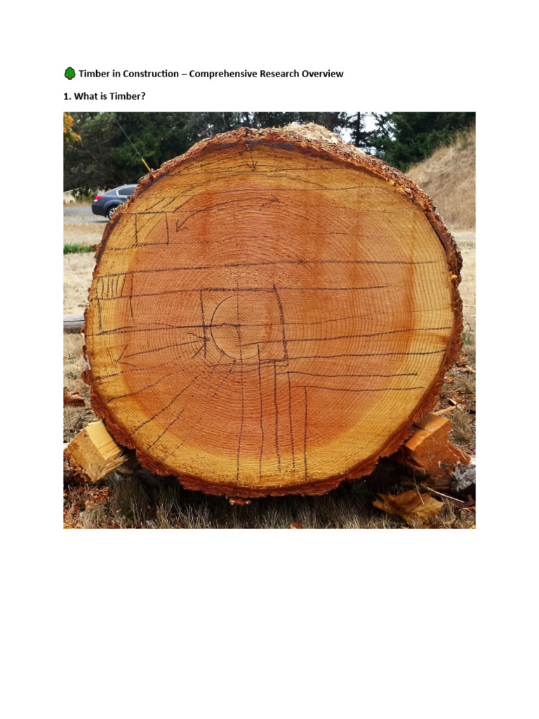 ? Timber in Construction | PDF | Lumber | Wood