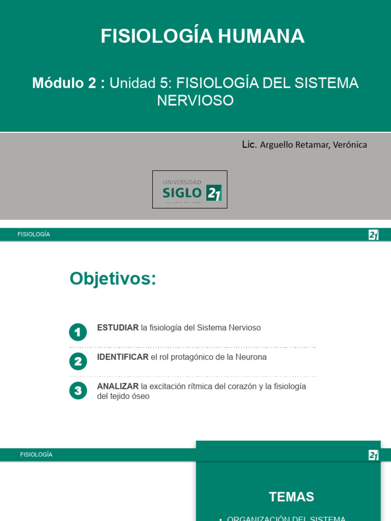 24 Clase 4-SNERVIOSO | PDF | Sistema nervioso | Sinapsis