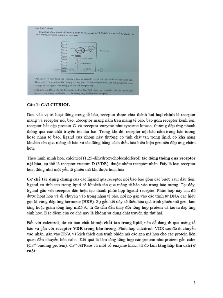 DLPT | PDF