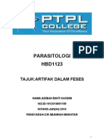 Assignment Parasitologi (Artifak)