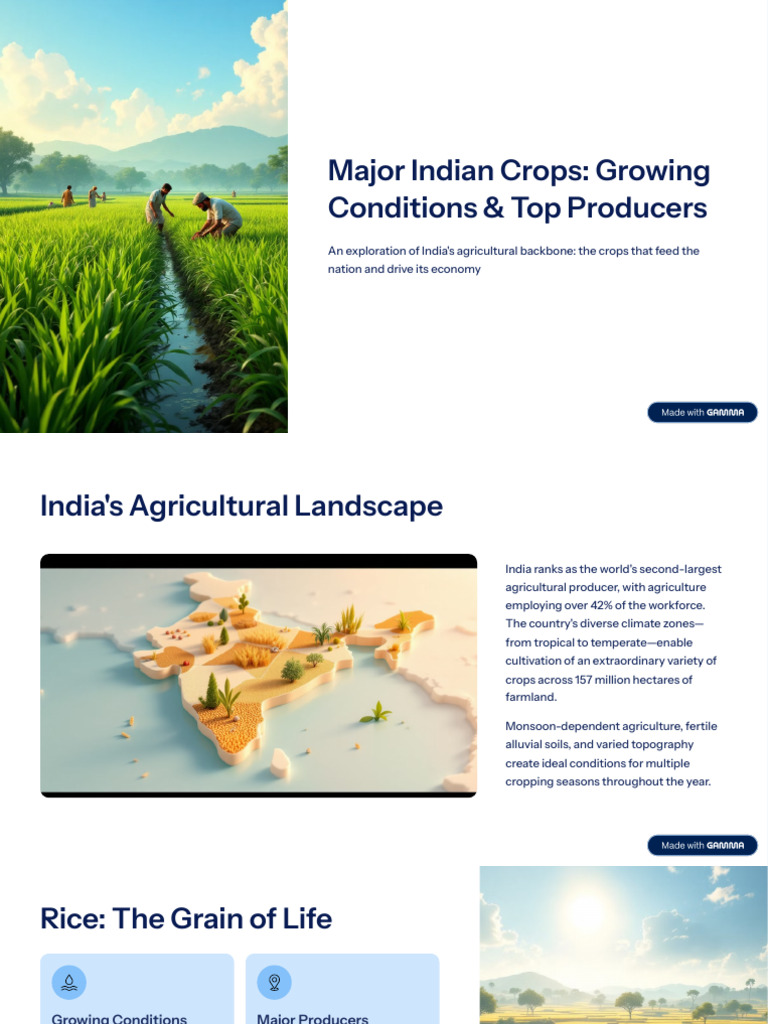 Major-Indian-Crops-Growing-Conditions-and-Top-Producers | PDF ...
