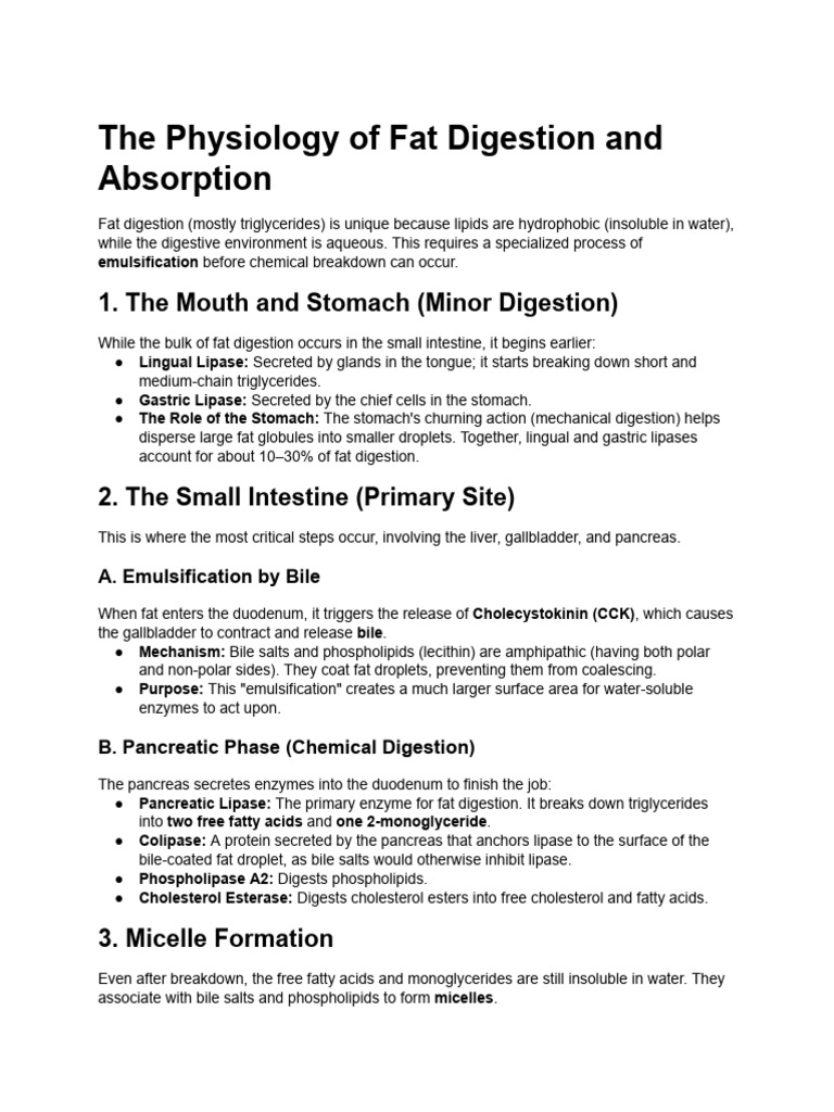 Physiology of Fat Digestion | PDF