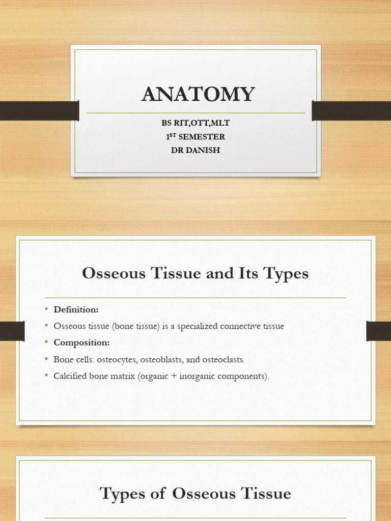 Anatomy Osseous Tissues and Its Types BS by Dr Danish Nadeem | PDF