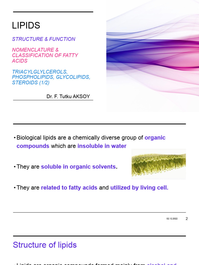 1. Lipids Part 1 .Pptx | PDF | Fatty Acid | Lipid