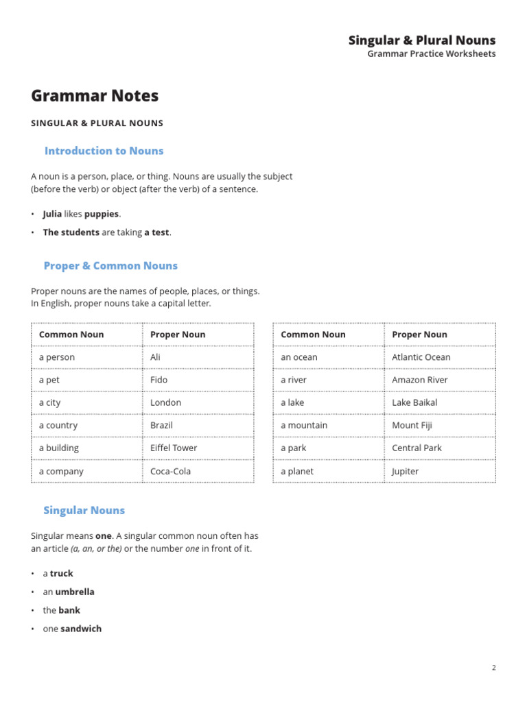 Singular and Plural Nouns 2 | PDF | Plural | Noun