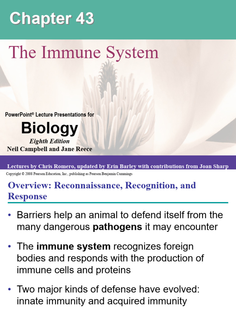 43_imune system | PDF | Cytotoxic T Cell | T Cell