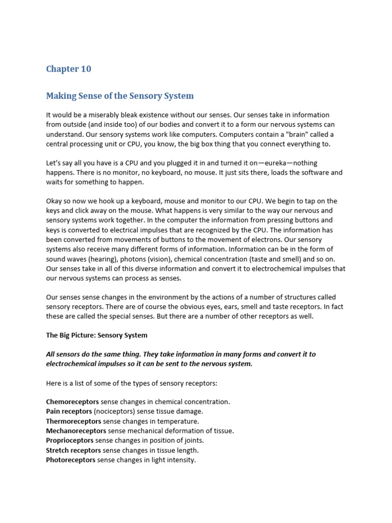 Sensory System Notes | PDF