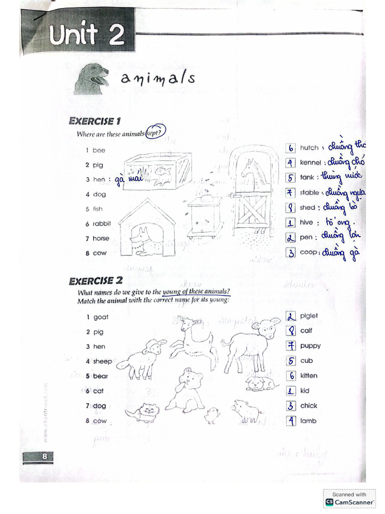 Unit 2 - Animals | PDF