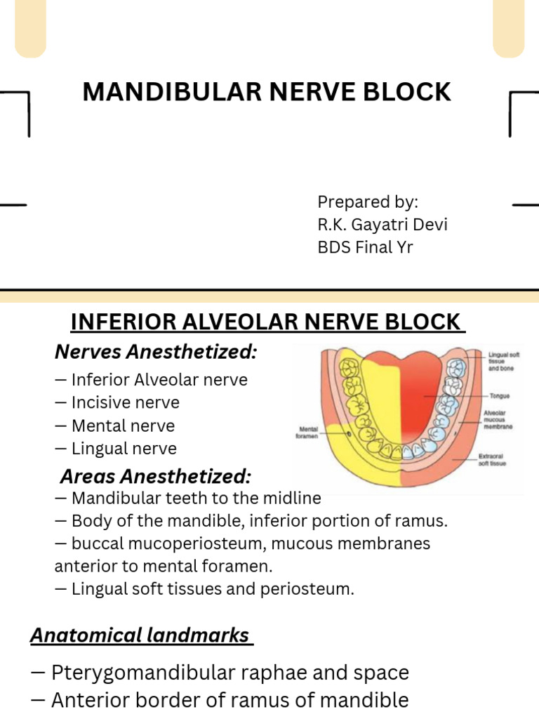 Mandibular nerve_20260328_204510_0000 | PDF | Human Anatomy | Human ...