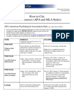 Apa Mla Internet Sources