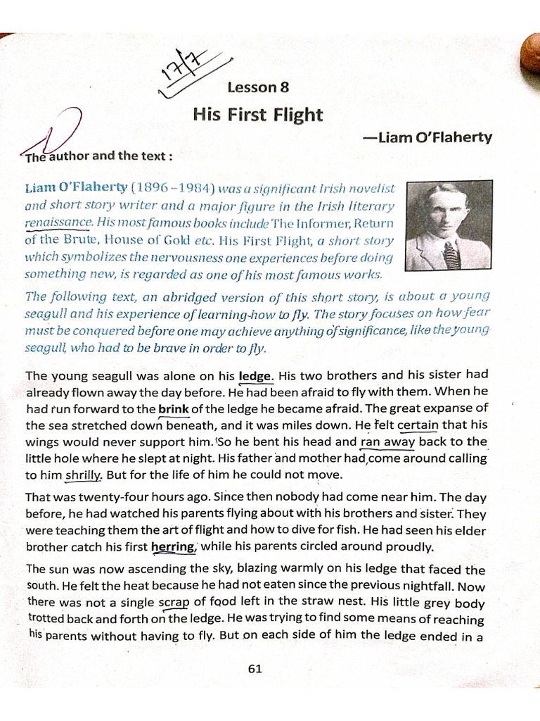 His First Flight | PDF