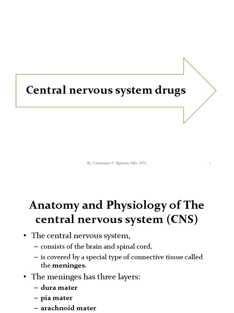 3 CNS Drugs | PDF