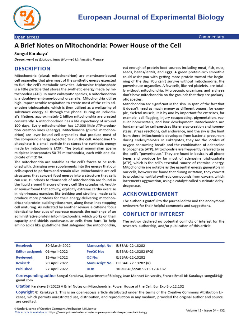 A Brief Notes On Mitochondria Power House of The Cell | PDF ...