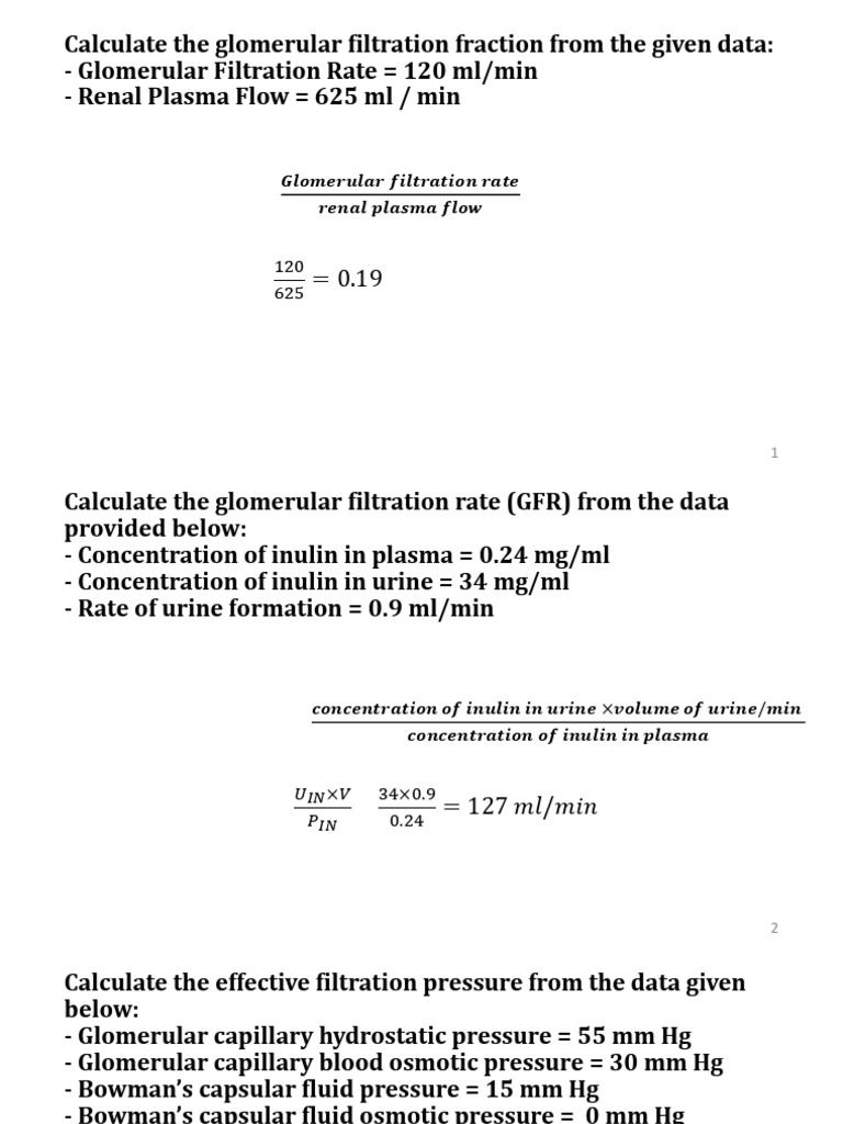 Physiology Calculations | PDF | Physiology | Medical Specialties