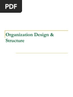 Organization Structure