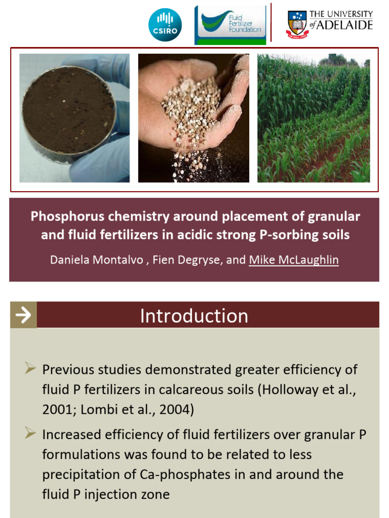 Phosphorus FluidForum2013 Final Version Presented | PDF | Fertilizer | Soil