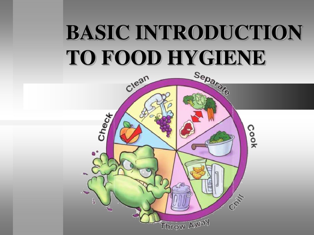 Basic Introduction To Food Hygiene. PDF Food Storage Hygiene