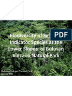 Biodiversity of Selected Indicator Species at The Lower Slopes of Bulusan Volcano Natural Park