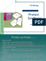 Protein Synthesis