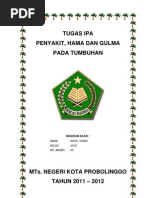 Download Hama by khairul anam SN102235852 doc pdf