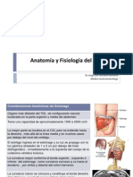 Anatomía y Fisiología Del Estómago CHSP 2012