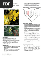 Overview of Leguminosae Family | PDF | Botany | Plants