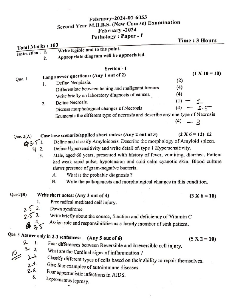 2021 batch University paper | PDF