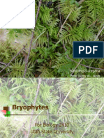 Bryophytes