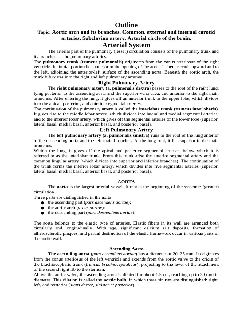 Aorta (1) | PDF | Aorta | Common Carotid Artery