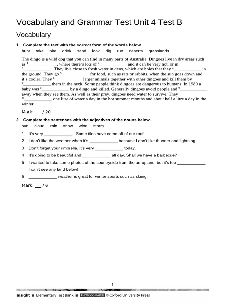 Vocabulary + Grammar Unit 4 Test B | PDF