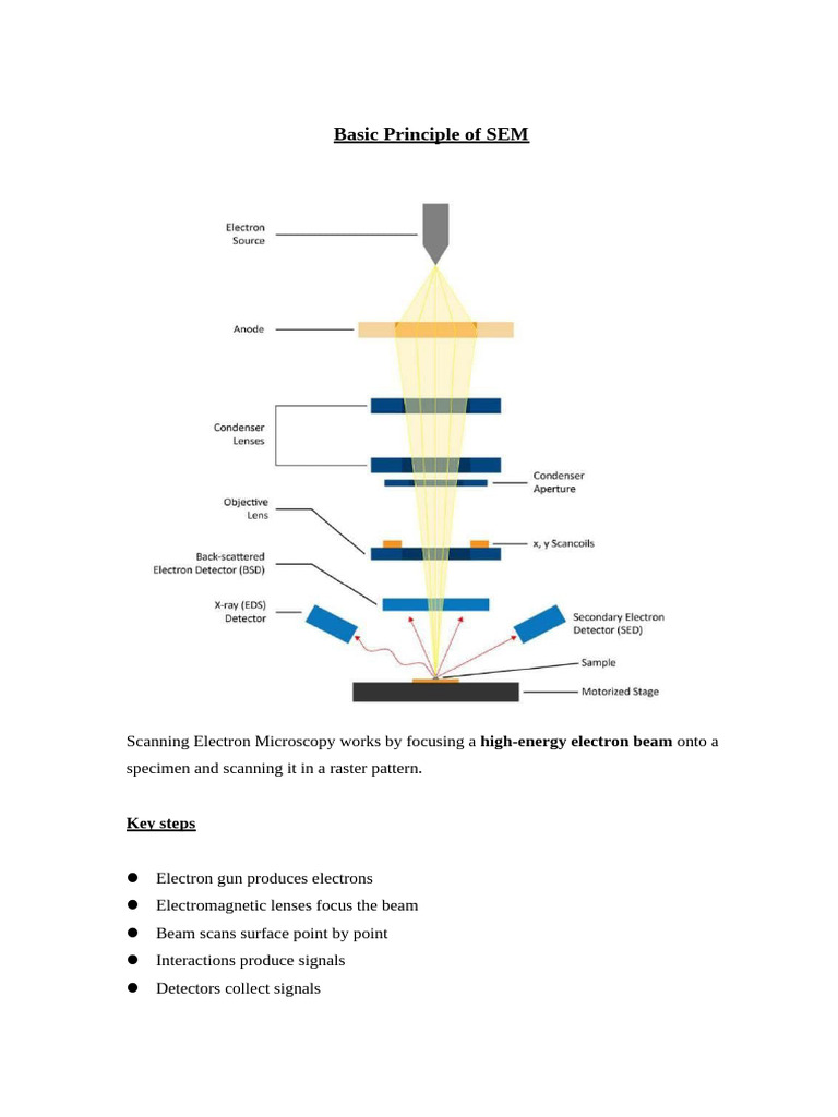 Basic Principle of SEM-2 | PDF | Scanning Electron Microscope | Light