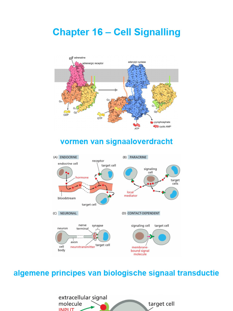 Chapter 16 - Signaling - 2026 (1) | PDF