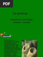 poriferos