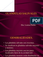 GLANDULAS_SALIVALES