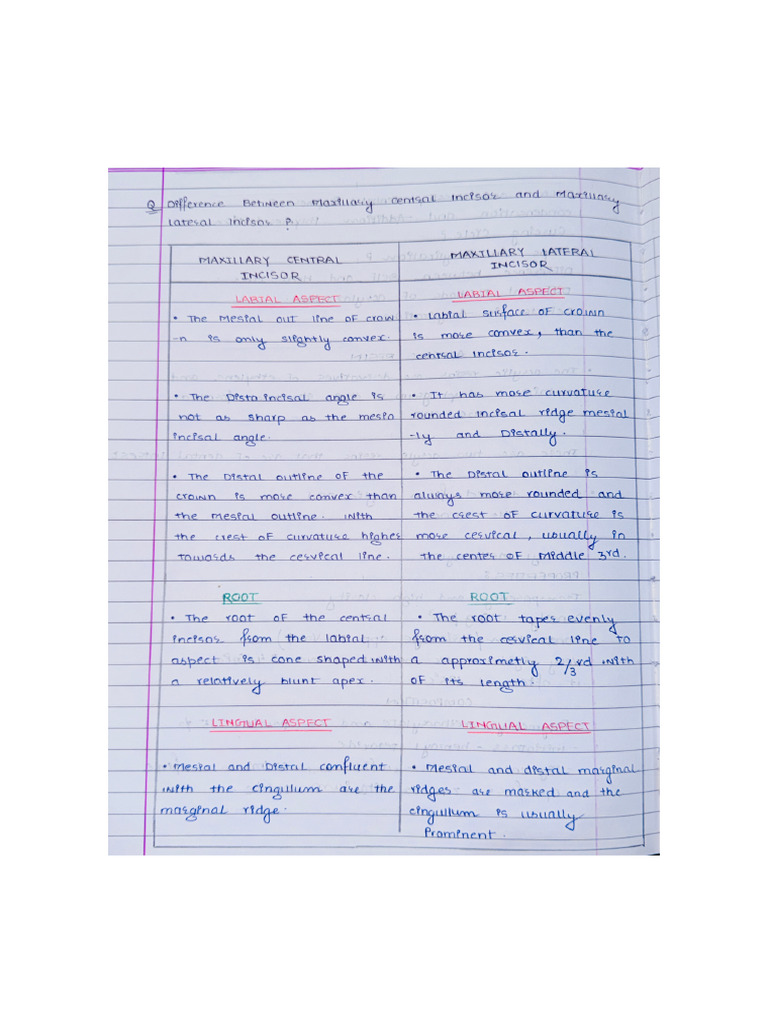 Dadh Notes | PDF