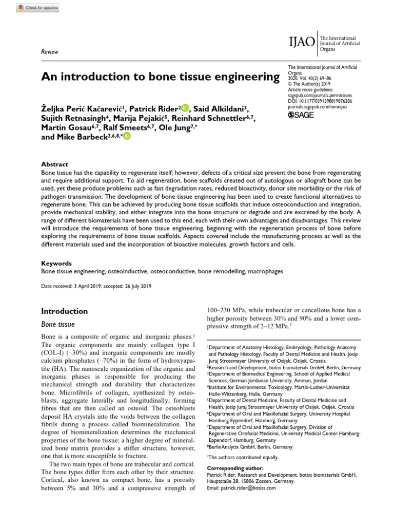 An introduction to bone tissue engineering | PDF | Macrophage | Osteoblast