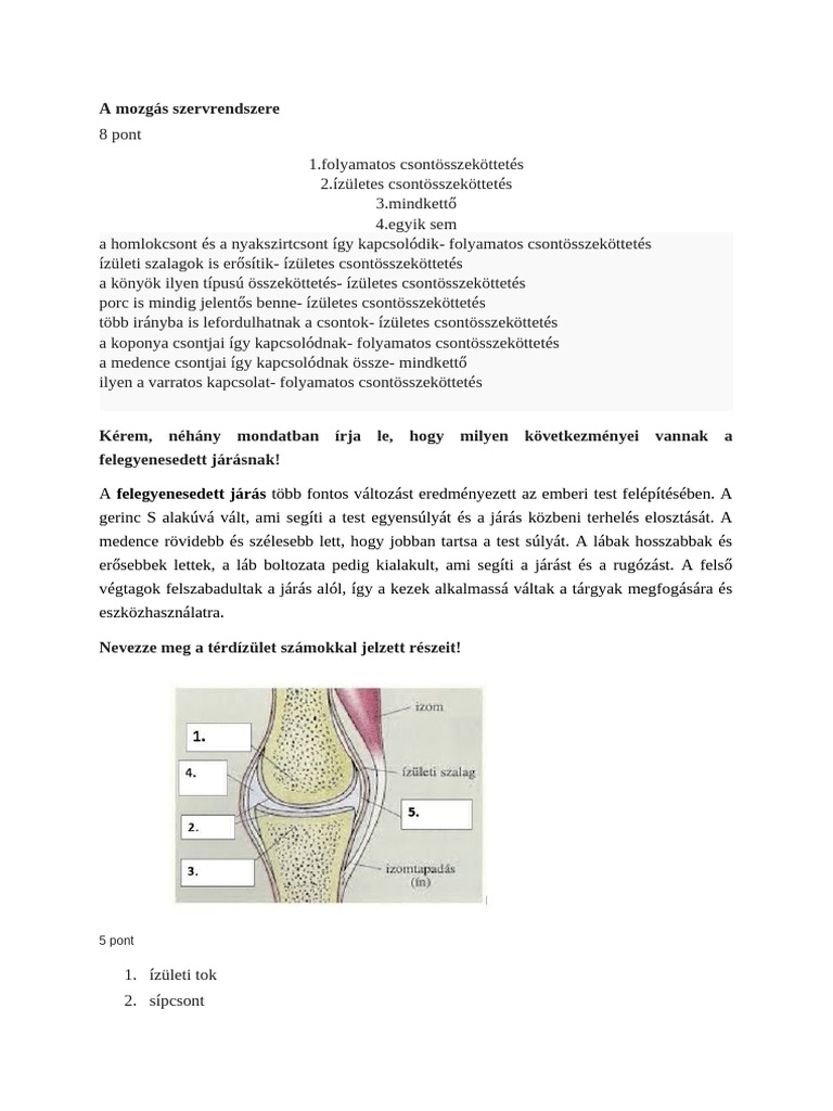 Anatómia feladatok | PDF