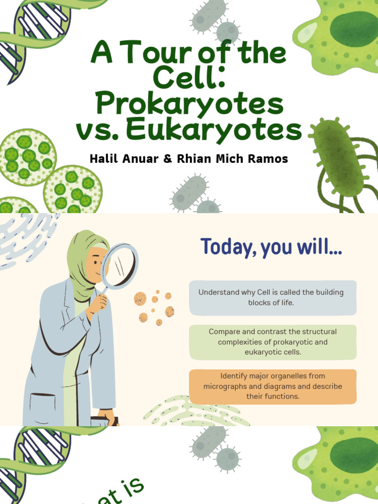 A Tour of the Cell Prokaryotes vs. Eukaryotes | PDF