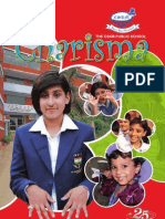 CSKM Newsletter 2011