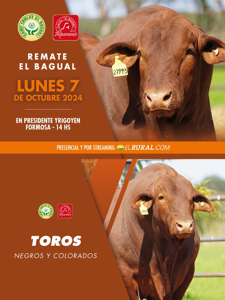 Catálogo El Bagual 2024 | PDF
