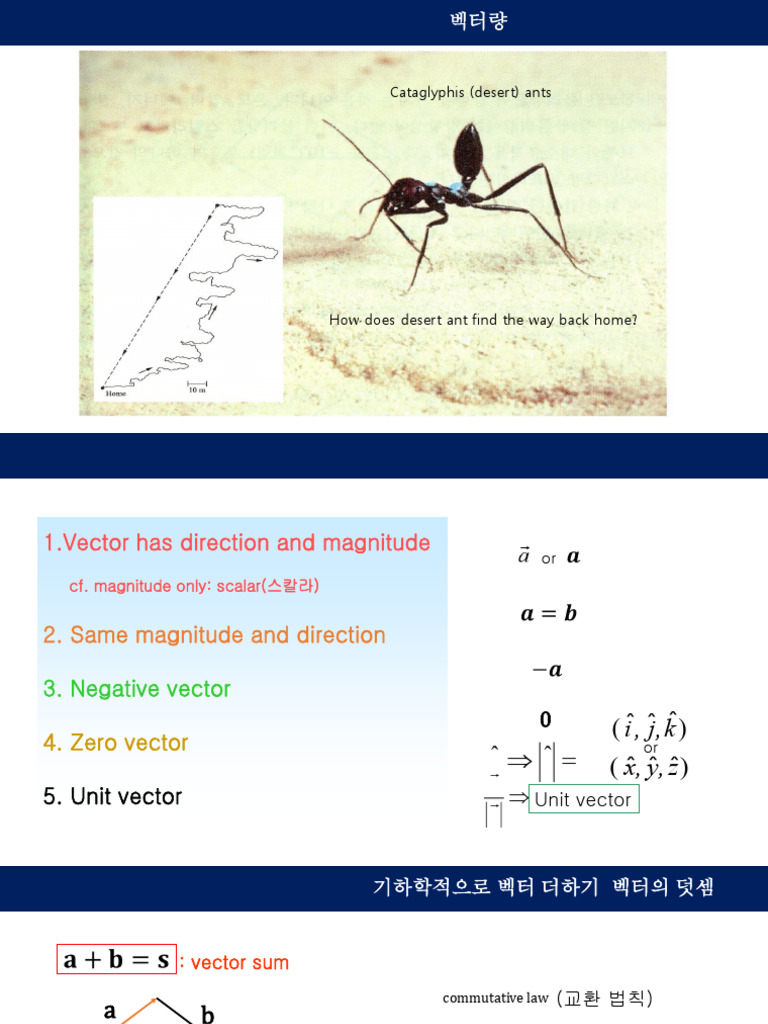 Chapter3 Vectors | PDF